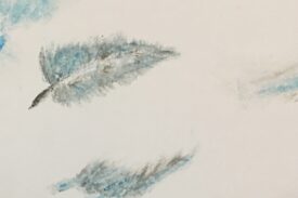 biornclub-emotional library (3)
